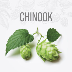 Lúpulo CHINOOK