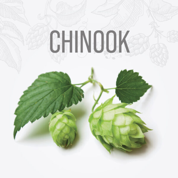 Lúpulo CHINOOK