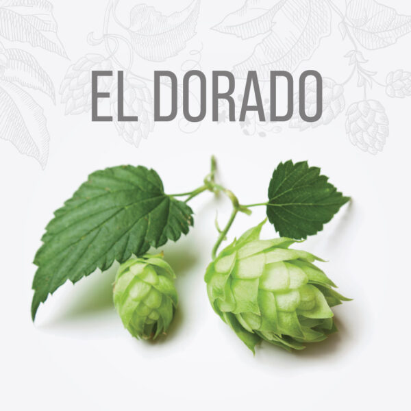 Lúpulo EL DORADO