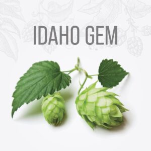 Lúpulo IDAHO GEM