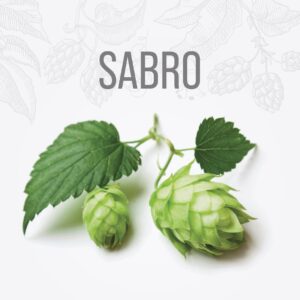 Lúpulo SABRO